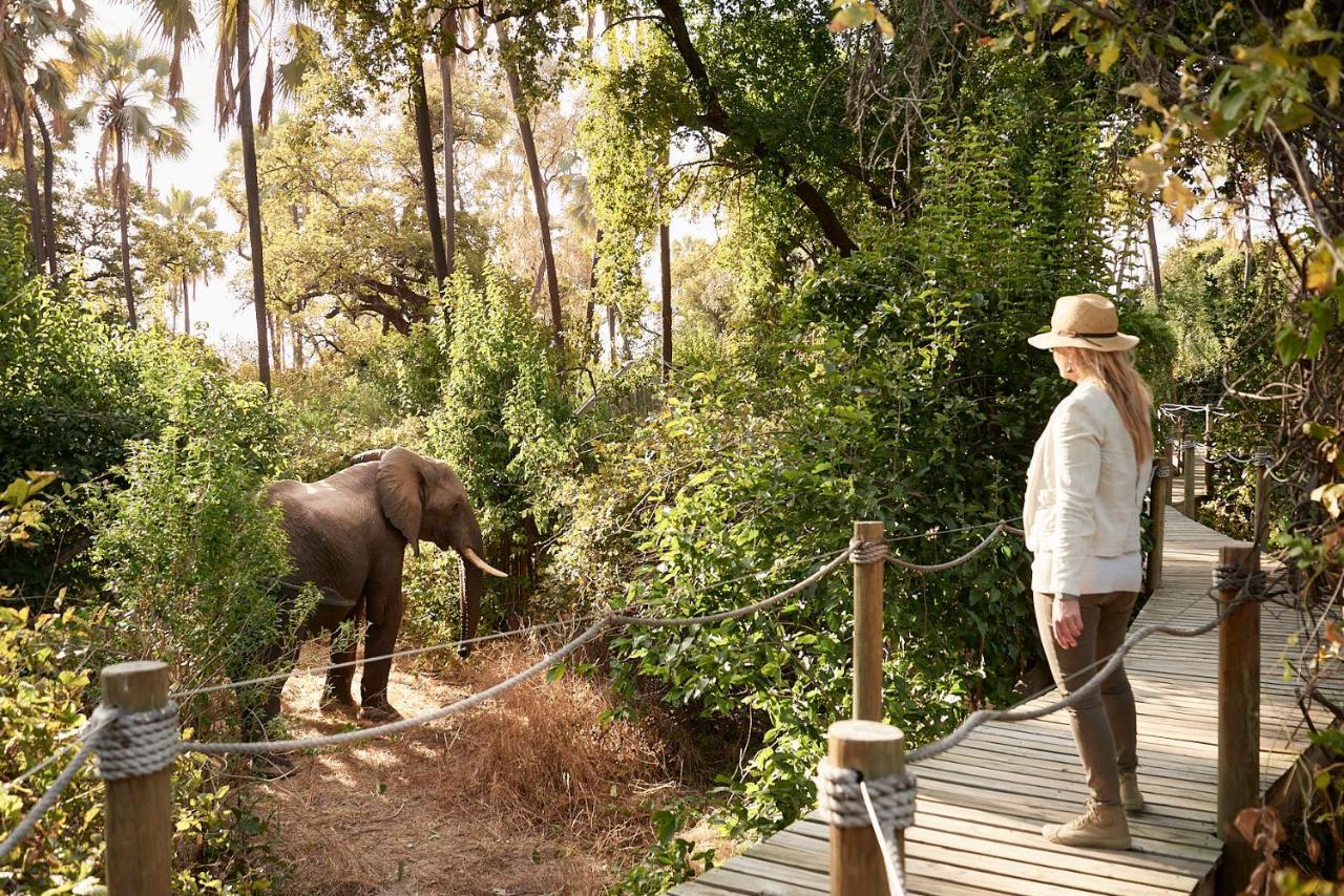 Victoria Falls River Lodge Dış mekan fotoğraf